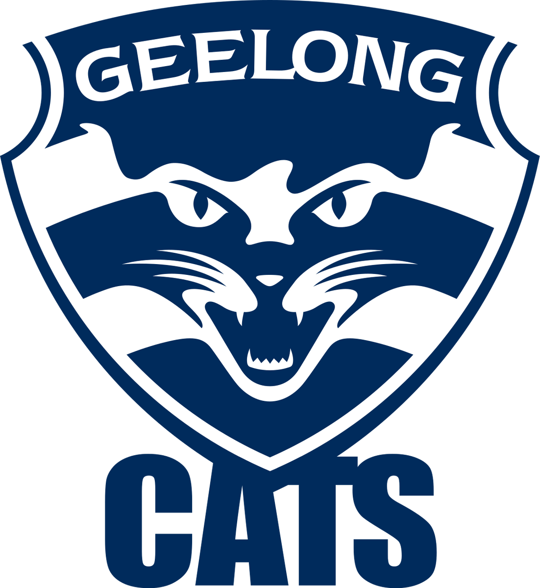 Geelong Cats 2022 AFL Kids Premiers Guernsey