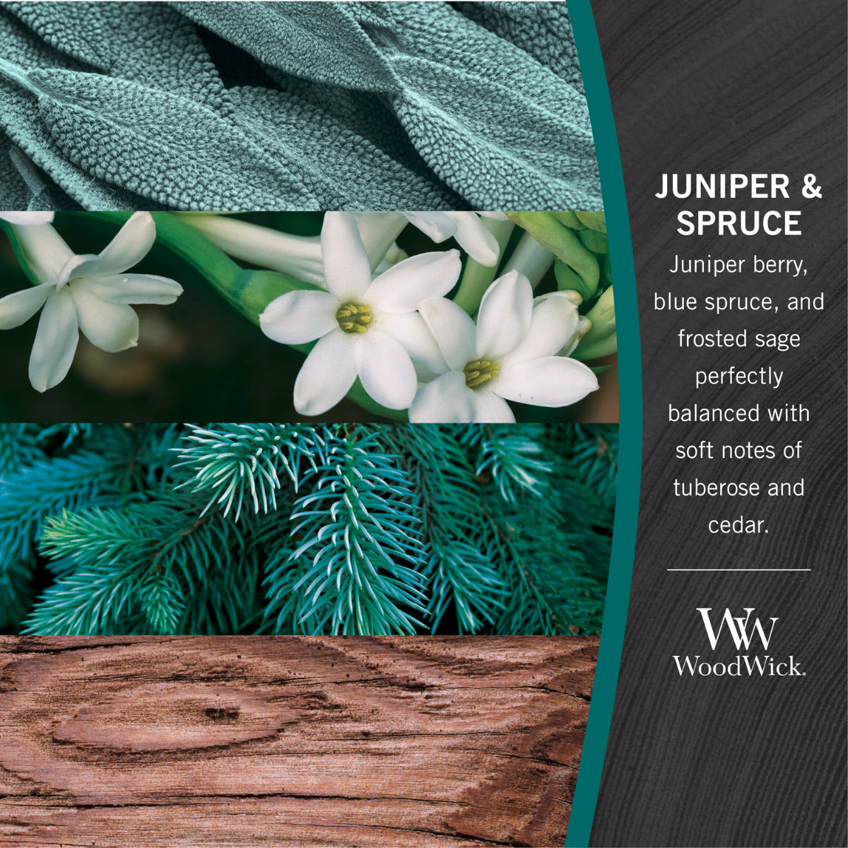 WOODWICK JUNIPER & SPRUCE ELLIPSE